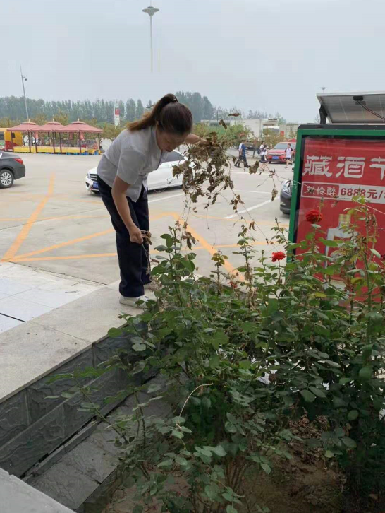 C:\Users\Administrator\Pictures\QQ截图20190723092922.png C:\Users\Administrator\Pictures\QQ截图20190723092922.png