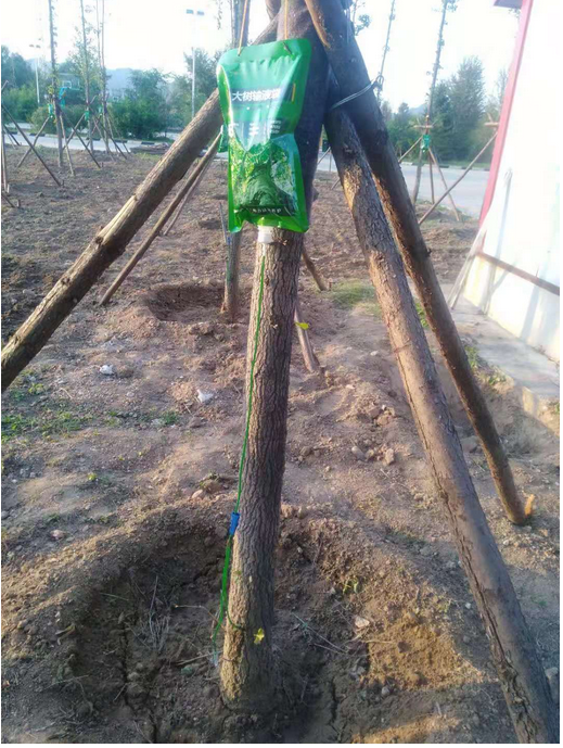 C:\Users\Administrator\Pictures\QQ截图20190902151304.png C:\Users\Administrator\Pictures\QQ截图20190902151304.png