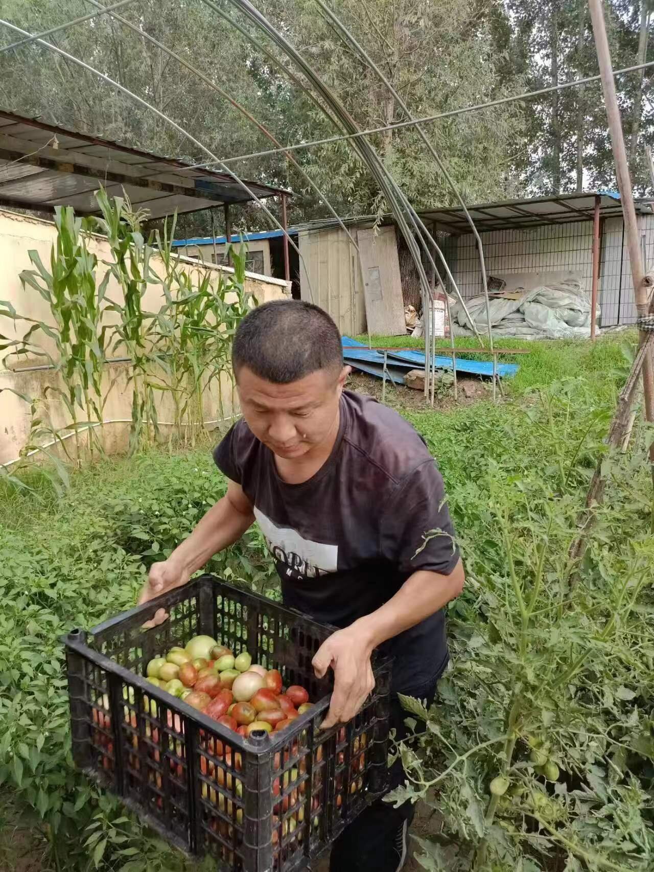 C:\Users\86183\Desktop\微信图片_202210251107505_proc.jpg C:\Users\86183\Desktop\微信图片_202210251107505_proc.jpg